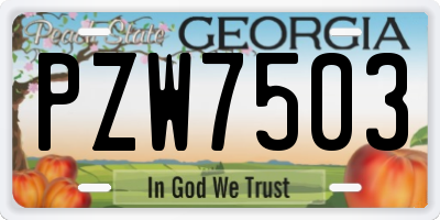 GA license plate PZW7503