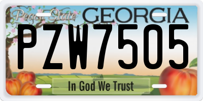 GA license plate PZW7505