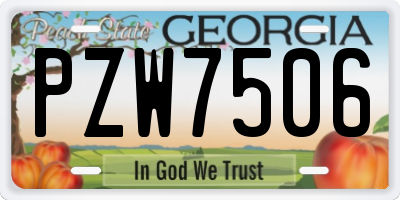 GA license plate PZW7506
