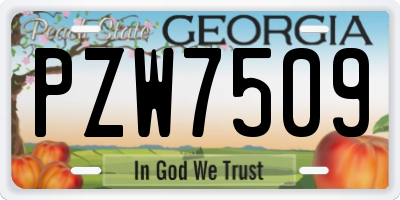 GA license plate PZW7509