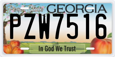 GA license plate PZW7516