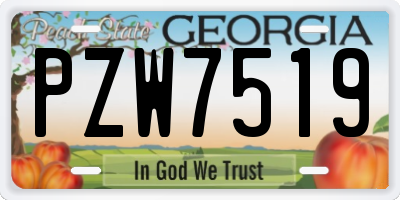 GA license plate PZW7519