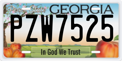 GA license plate PZW7525