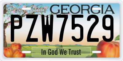 GA license plate PZW7529