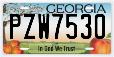 GA license plate PZW7530