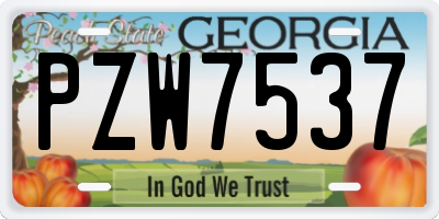 GA license plate PZW7537