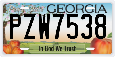 GA license plate PZW7538