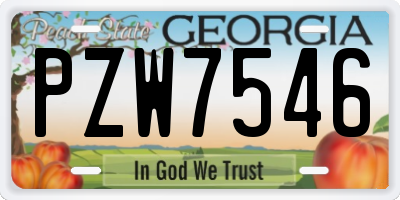 GA license plate PZW7546