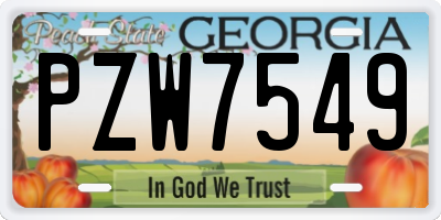 GA license plate PZW7549