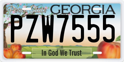 GA license plate PZW7555