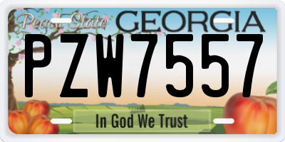 GA license plate PZW7557