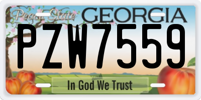 GA license plate PZW7559