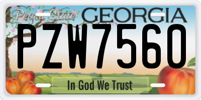 GA license plate PZW7560