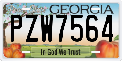 GA license plate PZW7564