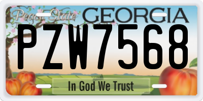 GA license plate PZW7568