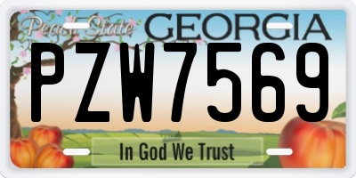 GA license plate PZW7569