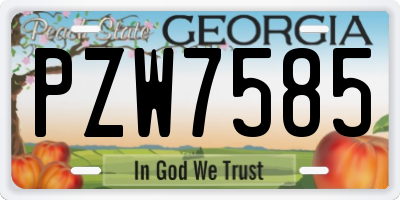 GA license plate PZW7585