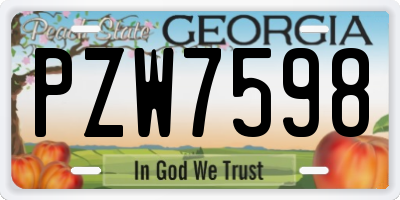 GA license plate PZW7598