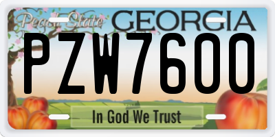GA license plate PZW7600