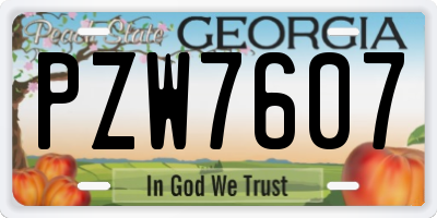 GA license plate PZW7607