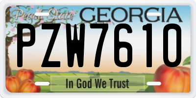 GA license plate PZW7610