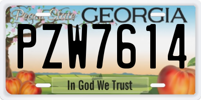 GA license plate PZW7614