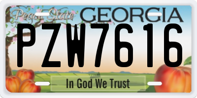 GA license plate PZW7616