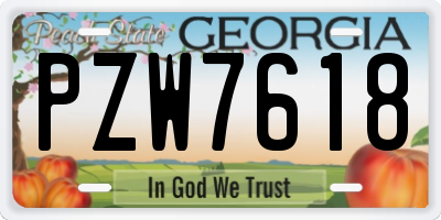 GA license plate PZW7618