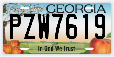GA license plate PZW7619