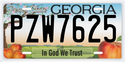 GA license plate PZW7625