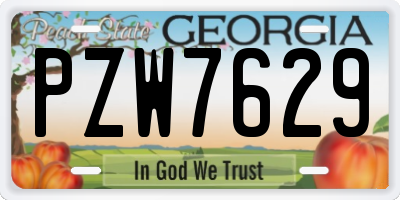 GA license plate PZW7629