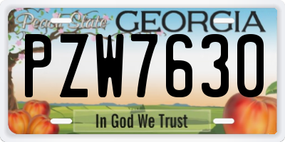 GA license plate PZW7630