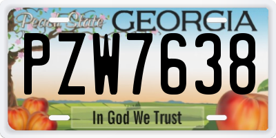 GA license plate PZW7638