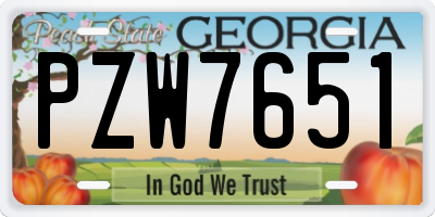 GA license plate PZW7651