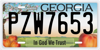 GA license plate PZW7653
