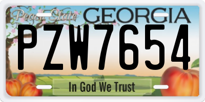 GA license plate PZW7654