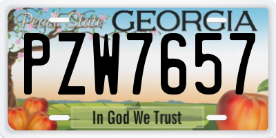 GA license plate PZW7657