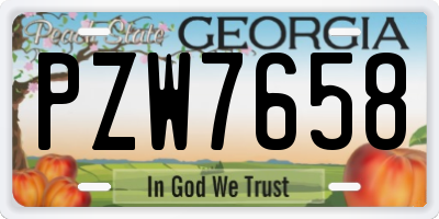 GA license plate PZW7658