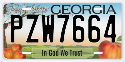 GA license plate PZW7664