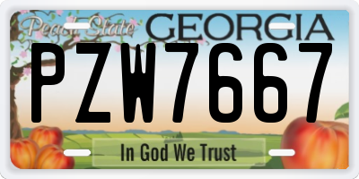 GA license plate PZW7667