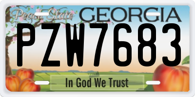 GA license plate PZW7683