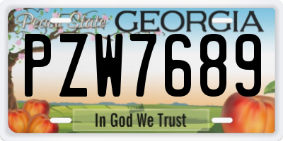 GA license plate PZW7689