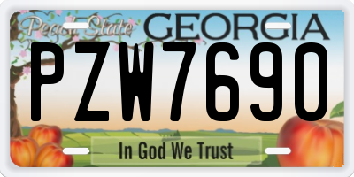 GA license plate PZW7690