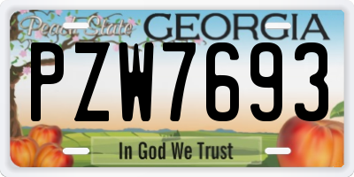 GA license plate PZW7693