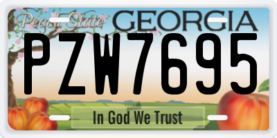 GA license plate PZW7695