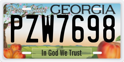 GA license plate PZW7698