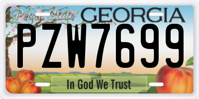 GA license plate PZW7699