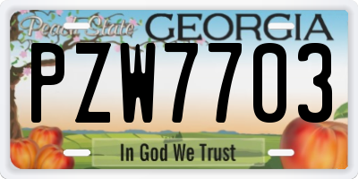 GA license plate PZW7703