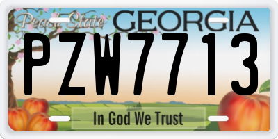 GA license plate PZW7713
