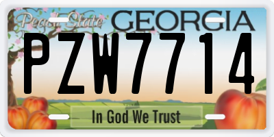 GA license plate PZW7714
